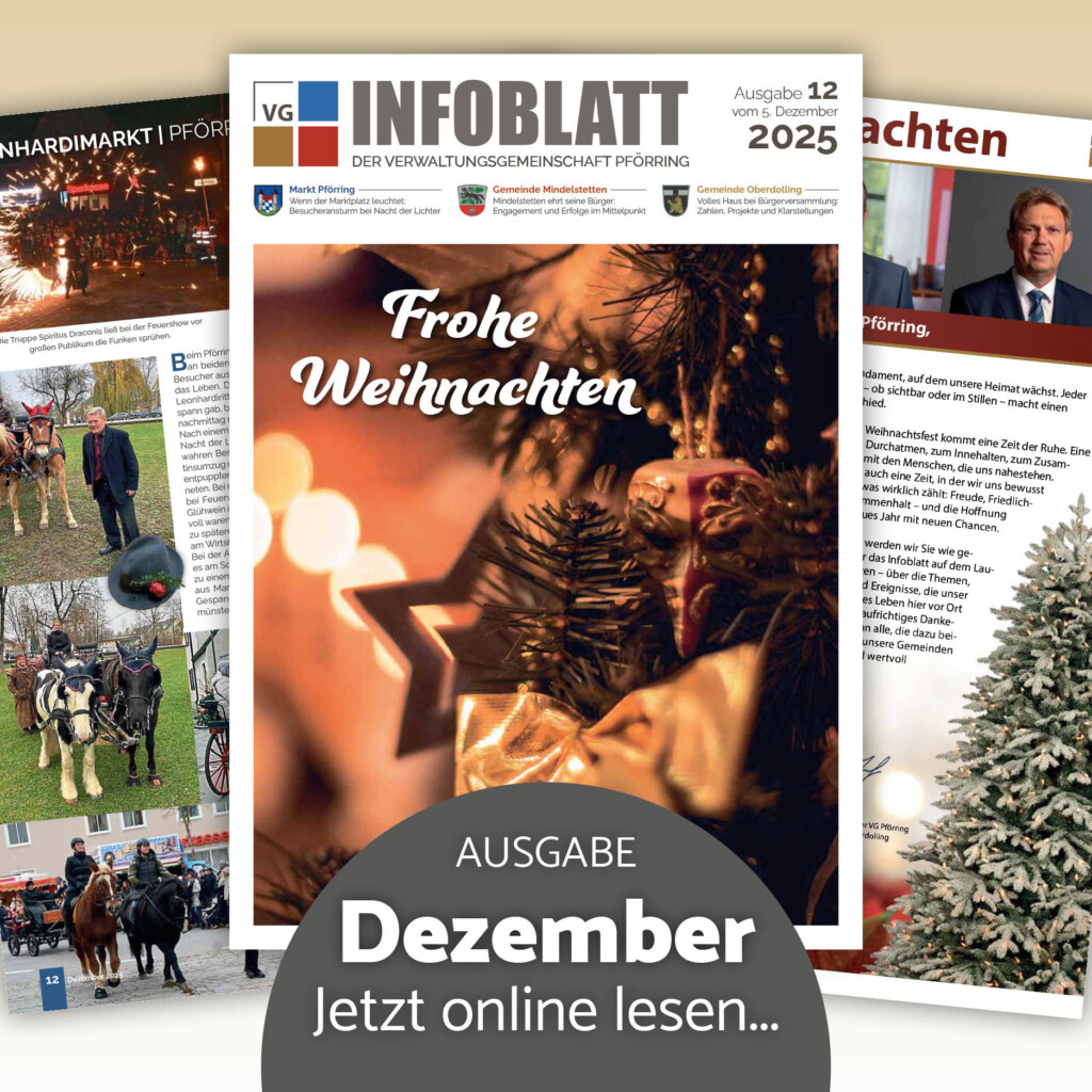 Dezember-Infoblatt jetzt verfügbar